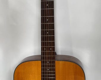 Ibanez Westerngitarre mit Gator Hartschalenkoffer