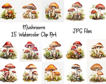 Mushrooms Clipart - 15 High Quality JPGs - Digital Download - Сommercial Use
