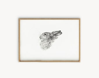 Bunny Sketch | Vintage Nursery Art Print | Country Nursery Decor | Nursery Wall Art Digital Download