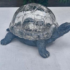 Turtle Shaped Glass Terrarium - Glass Shell Dome