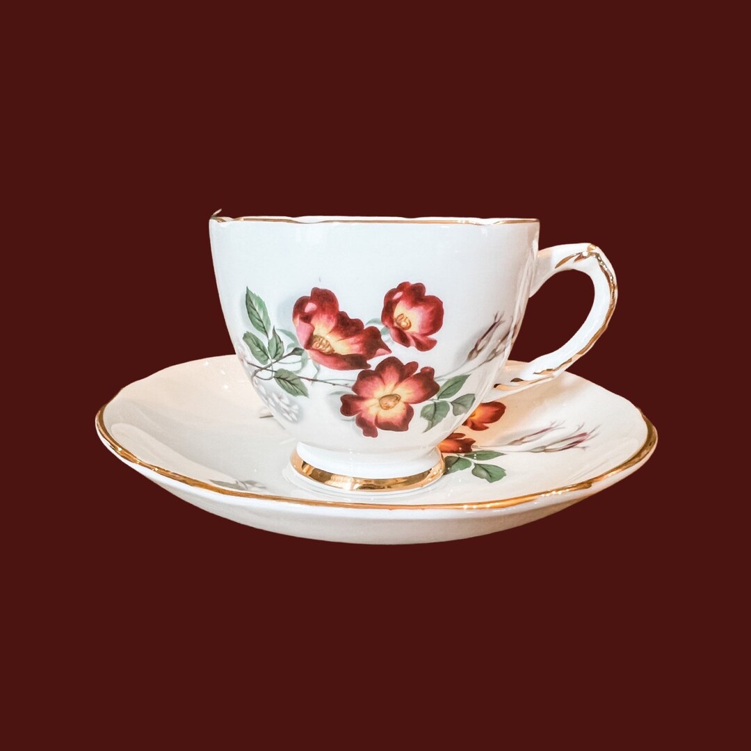 Vintage Delphine Bone China Teacup and Saucer Fall Colors Etsy
