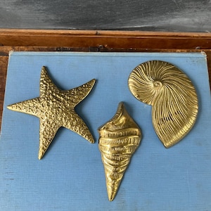 May include: Three polished brass decorative objects shaped like marine life, including a five-pointed starfish with a textured surface, a spiral nautilus shell with linear grooves, and a conical seashell with horizontal ridges and a pointed base.