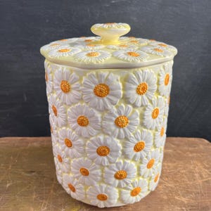 Vintage 1960's Brinn's Crazy Daisy Ceramic Cookie Jar Made in