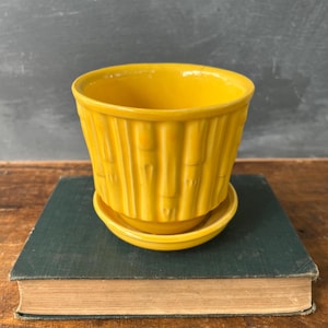 May include: A bright yellow ceramic plant pot with a textured bamboo-style exterior design. The pot features a matching circular yellow saucer base that sits flush against the bottom, creating a cohesive look for this small, round container.
