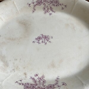 Daisy Pattern Antique Lilac Lavender Color, Transferware China Platter, Ironstone image 2