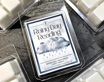 Rainy Day Reading | Bookish Wax Melts