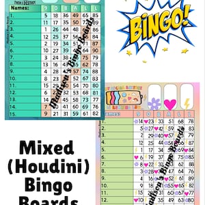 Lot de 15 planches de bingo 90 boules Line (Houdini)