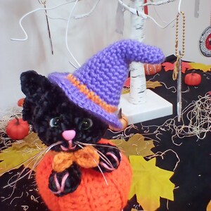 Black Cat Witch in a Pumpkin