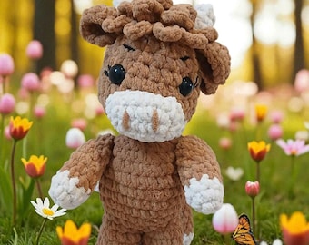 Finlay The Hairy Highland Cow