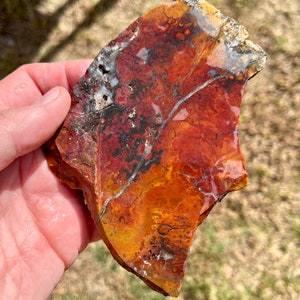 Jasper ?