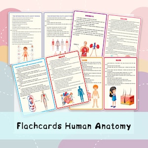 Human Anatomy Flashcard   Body Anatomy for Kids , Printable Anatomy Preschool Learning Resource , Skeleton Anatomy , Vascular System