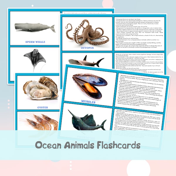 Flashcards Ocean Animals , Flashcards Worksheets , Printable Daycare ,  Homeschooling Resources , Atlantic Animals Flashcards