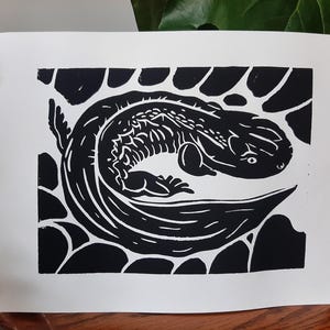 Hellbender Linocut Print | Salamander Linocut | Amphibian Art | North Carolina Wildlife | Hellbender Print | Wildlife Linocut