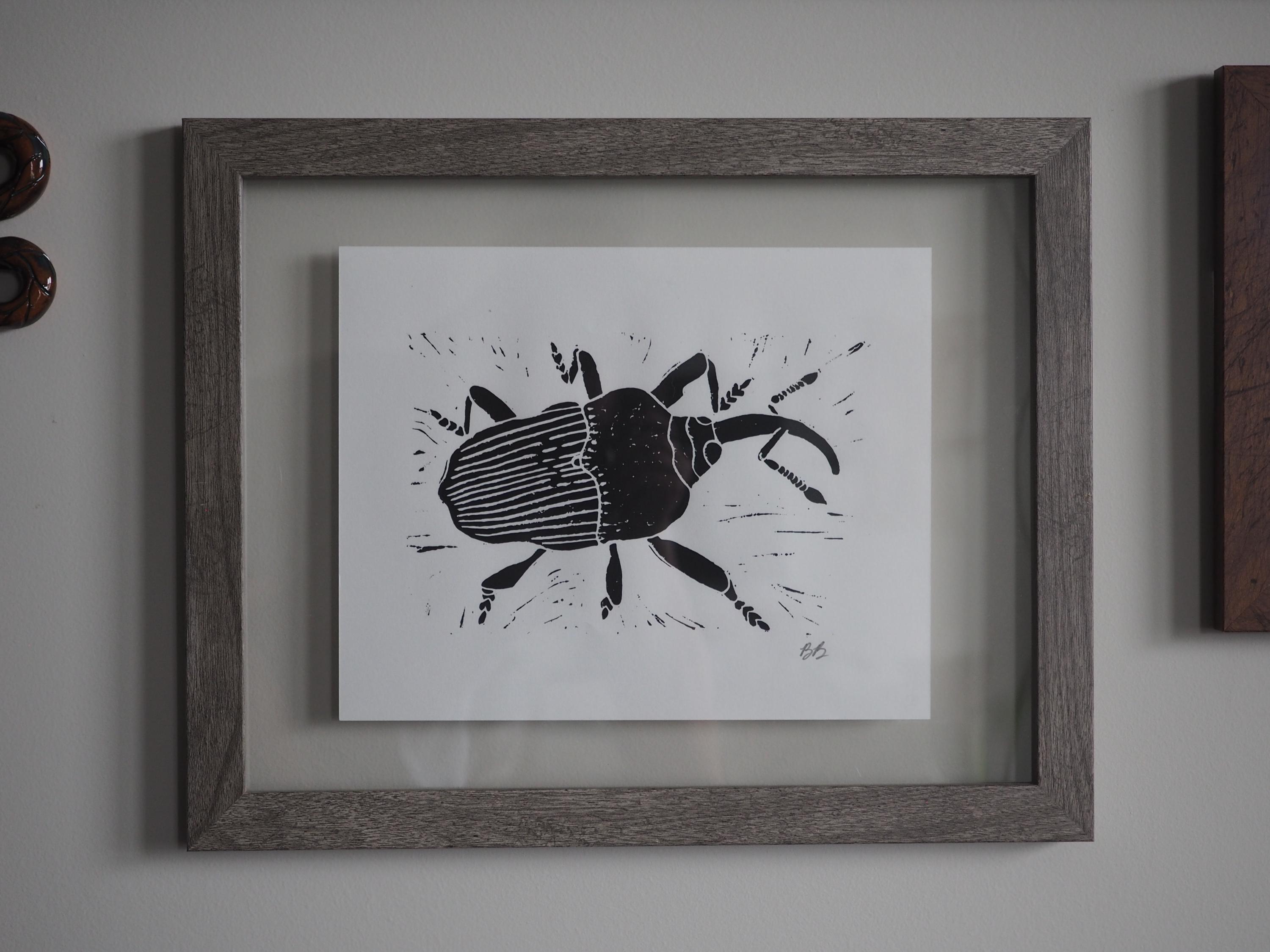 Insect Linocut Weevil Linocut Print | Insect Linocut | Bug Art | North Carolina ...