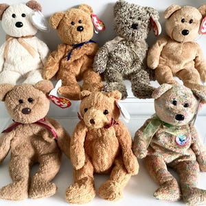 Ty Beanie Baby - ウッディー・ザ・ウッドペッカーの鳥、ウィニー