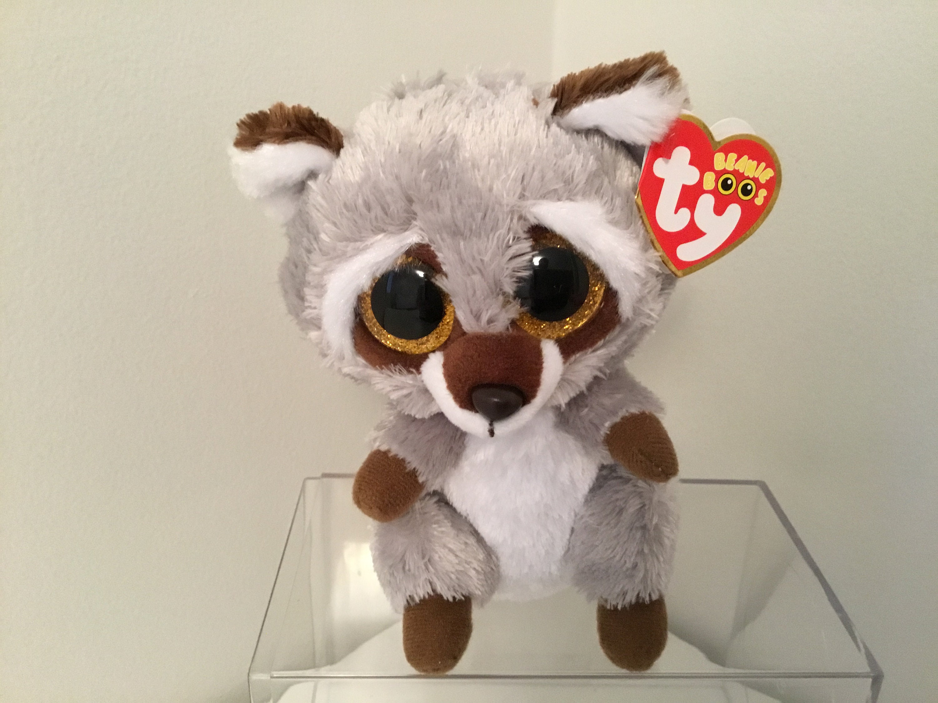 Ty Beanie Boo, oakie the Raccoon, 6in. MWMT -  Canada