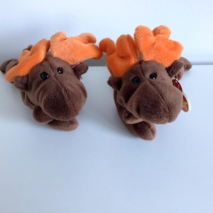 May include: Two brown moose beanie babies with orange antlers. The moose on the right has a red and white tag attached to its ear.