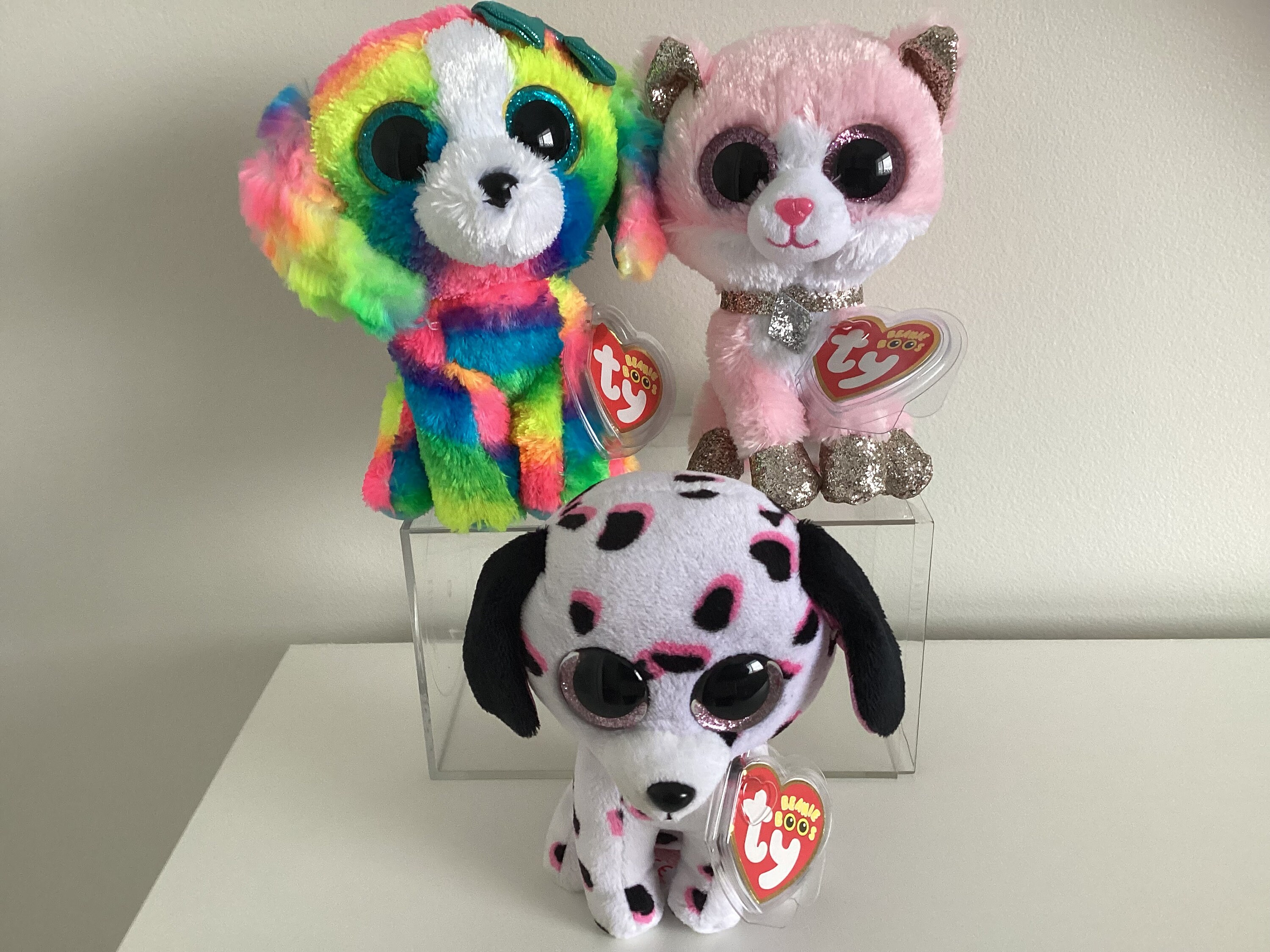 Ty Beanie Boos Claires Exclusive amaya Georgia Lola Puppy Dogs and Cat.6inmwmt Etsy