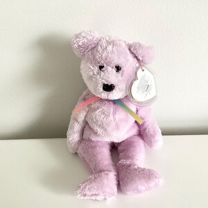 Op de afbeelding: Een lavendelkleurige pluche teddybeer met een regenboog lint om zijn nek. De beer heeft een wit hartvormig label aan zijn oor.