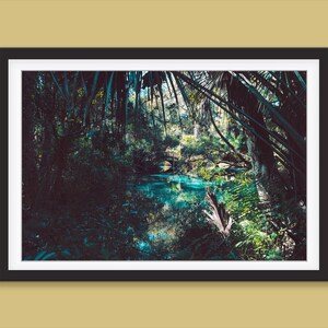 Blue Lagoon Photography Print Ocala Florida Print Lagoon Wall Art Lagoon Print Ocala National Forest Print Lake Nature Wall Art Lake Print