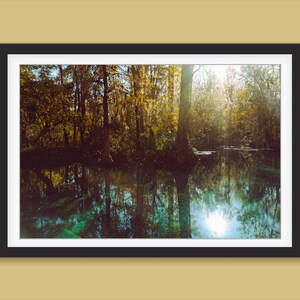 Lake Reflection Photography Print Nature Woods Lake Print Ocala Florida Print Mystical Lake Wall Art Silver Springs Print Lake Nature Print