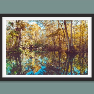 Lake Photography Print Ocala Florida Print Lake Wall Art Silver Springs Print Silver Springs Wall Art Nature Lake Wall Art Lake Tree Woods