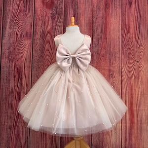 Taupe 4 Layer Pearl Tulle V-Back Knee Length Flower Girl Wedding Trendy Summer Holiday Pageant Infant Toddler Princess Photoshoot Girl Dress