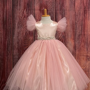Blush Pink Tulle Ankle Length Flower Girl Wedding Spring Summer Birthday Photoshoot Toddler Girl Princess Holiday Cosplay Girl Dress