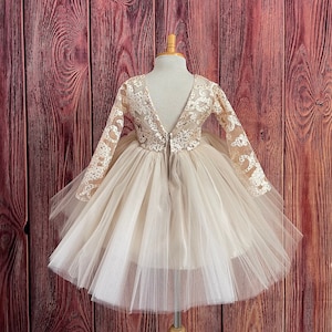 Champagne Lace Long Sleeve 4 Layer Tulle Knee Length Summer Wedding Flower Girl Holiday Winter Birthday Princess Infant Toddler Girl Dress