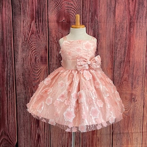 Blush 3D Floral Tulle Longueur Genou Bretelles Spaghetti Anniversaire Fille Printemps Fille De Fleur Eté Pâques Chic Séance Photo À La Mode Robe Pour Bébé Et Tout-Petit