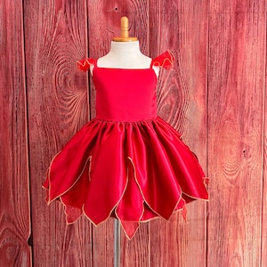 Red Fairytale Infant Toddler Junior Halloween Costume Photoshoot Birthday Cosplay Dress Up Lady Bug Satin Girl Knee Length Tutu Dress