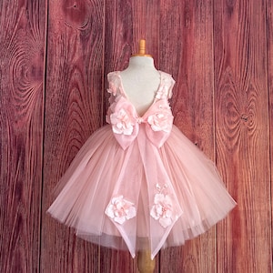 Blush 3D broderie florale longueur au genou v-dos fille d&#39;honneur été pâques élégant anniversaire reconstitution historique mariage demoiselle d&#39;honneur bambin fille robe