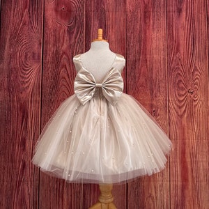 Champagne 4 Layer Pearl Tulle V-Back Satin Wedding Flower Girl Knee Length Birthday Summer Toddler Girl Elegant Trendy Pageant Dress