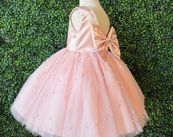 Blush Tulle Pearl Classic Satin Sleeveless Toddler Junior V-Back Flower Girl Knee Length Dress