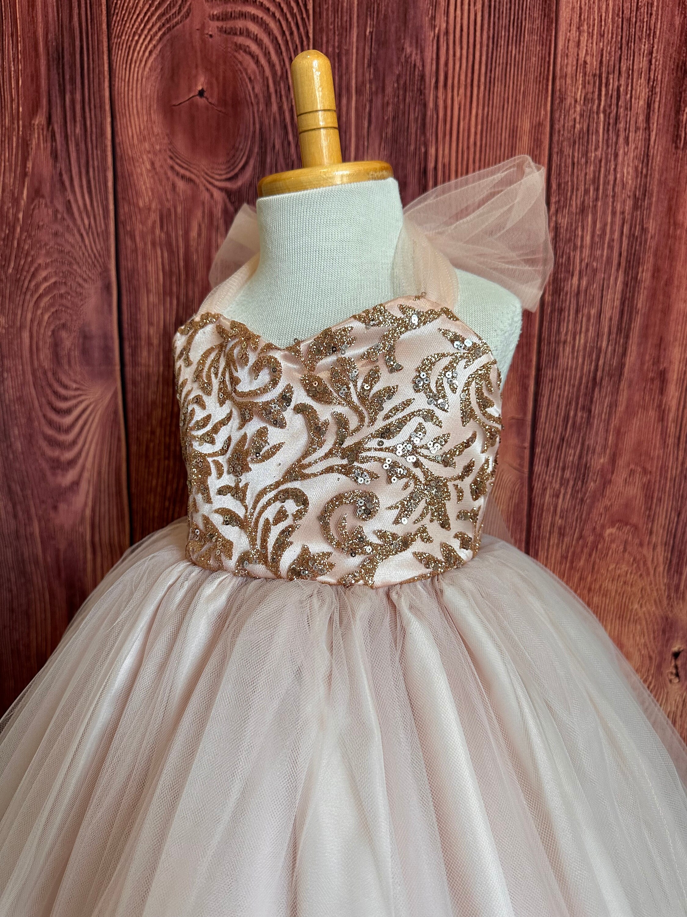 maroon gold bridesmaid dresses Straps Appliques Tulle A Line V Neck Dusty Rose Prom Dress PSK058 US4 / Custom Color main image 1