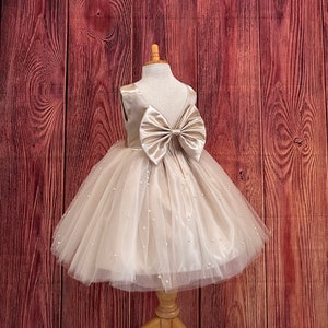 Champagne Elegant 4 Layer Tulle V-Back Knee Length Big Bow Wedding Trendy Fall Holiday Pageant Infant Toddler Princess Photoshoot Girl Dress
