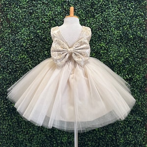 Champagne Embroidery Tulle V-Back Big Bow Toddler Girl Summer Flower Girl Sequin Wedding Photoshoot Birthday Princess Toddler Girl Dress