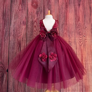0 3 Month Maroon Dress