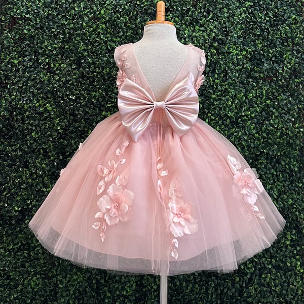 Flower Girl Blush 3D Floral 4 Layer Tulle Knee Length V-Back Wedding Summer Easter Pageant Birthday Dress