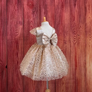 Champagne Flower Girl Pearl Sequin V-Back Knee Length Wedding Summer Fall Photoshoot Trendy Church Baptism Infant Toddler Junior Girl Dress