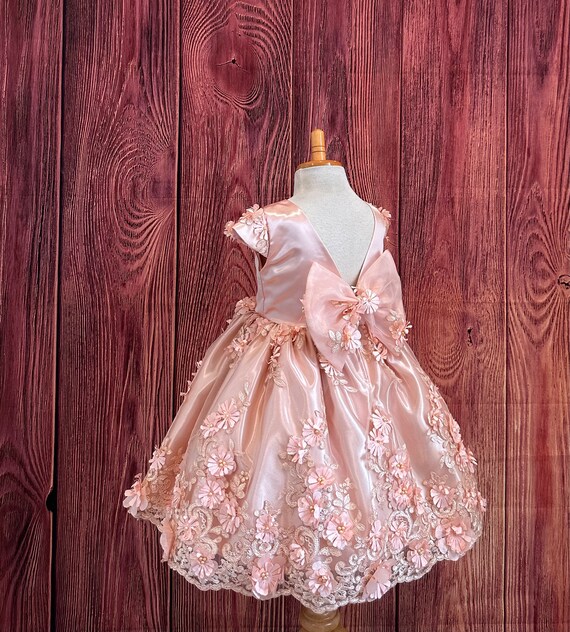 Blush Lace Embroidery V-back Summer Spring Elegant Wedding Flower Girl  Birthday Bridesmaid Knee Length Cap Sleeve Photoshoot Girl Dress - Etsy  Israel
