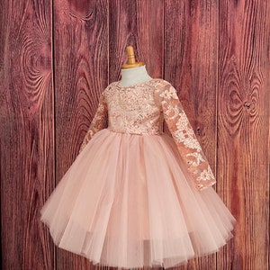 Demoiselle d&#39;honneur rose à manches longues en dentelle longueur au genou dos en V Tulle été Pâques mariage vacances reconstitution historique princesse robe pour tout-petit