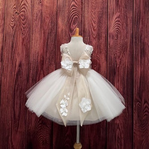Champagne 3D Floral Big Bow V-Back Knee Length Tulle Flower Girl Wedding Birthday Spring Summer Easter Photoshoot Toddler Junior Dress