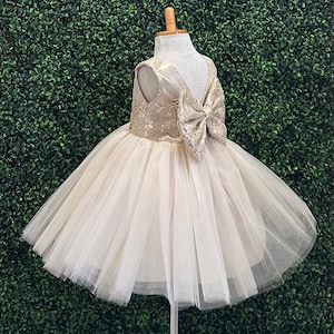 Champagne Embroidery Tulle V-Back Big Bow Toddler Girl Summer Flower Girl Sequin Wedding Photoshoot Birthday Princess Toddler Girl Dress