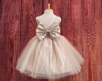 Champagne Elegant 4 Layer Tulle V-Back Knee Length Big Bow Wedding Trendy Fall Holiday Pageant Infant Toddler Princess Photoshoot Girl Dress