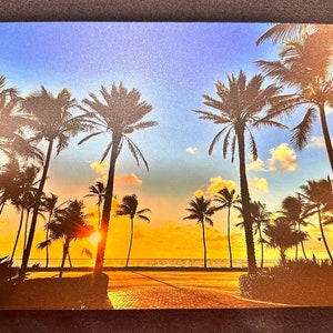 Palm Trees, Metal