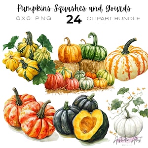 Paquete de imágenes prediseñadas de calabazas, calabacines y zapallos en acuarela, otoño, imágenes prediseñadas de calabazas de otoño, imágenes prediseñadas de la temporada de calabazas