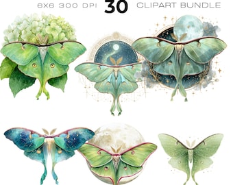 Watercolour Luna Moth clipart bundle, Summer, Butterfly clipart, Insect, Mystical Moth clipart
