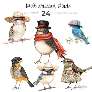Clipart oiseaux bien habillé, png vintage ferme, clipart oiseau pimpant, clipart Robin hiver, oiseaux portant des chapeaux png clipart