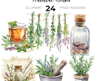 Aquarell Naturkräuter Clipart Bundle, Kräuter Wellness, Kräuterkunde Clipart, Naturheilkunde png
